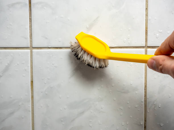 Best Affordable Mold Removal  in Perry, MI