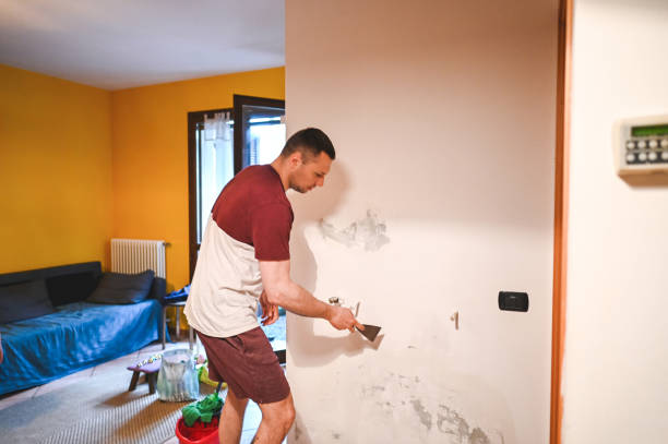 Best Toxic Mold Removal  in Perry, MI